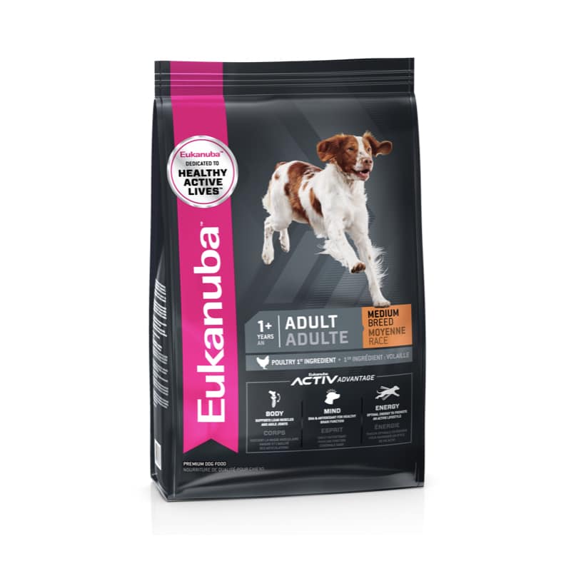 Eukanuba medium hotsell