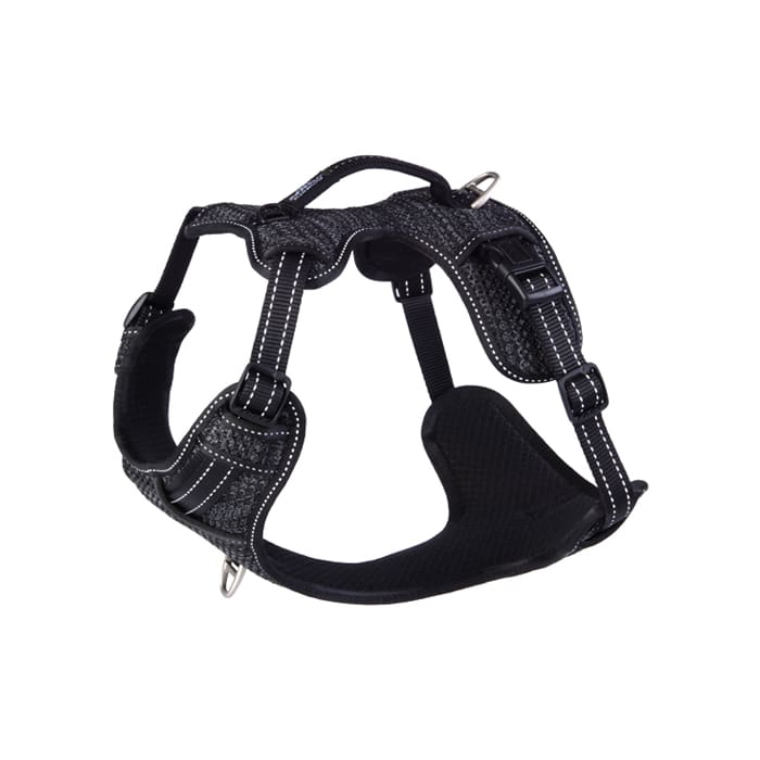 Rogz Explore Harness – Padded Harness - Barking Mad