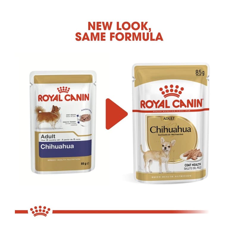 royal canin chihuahua sterilised